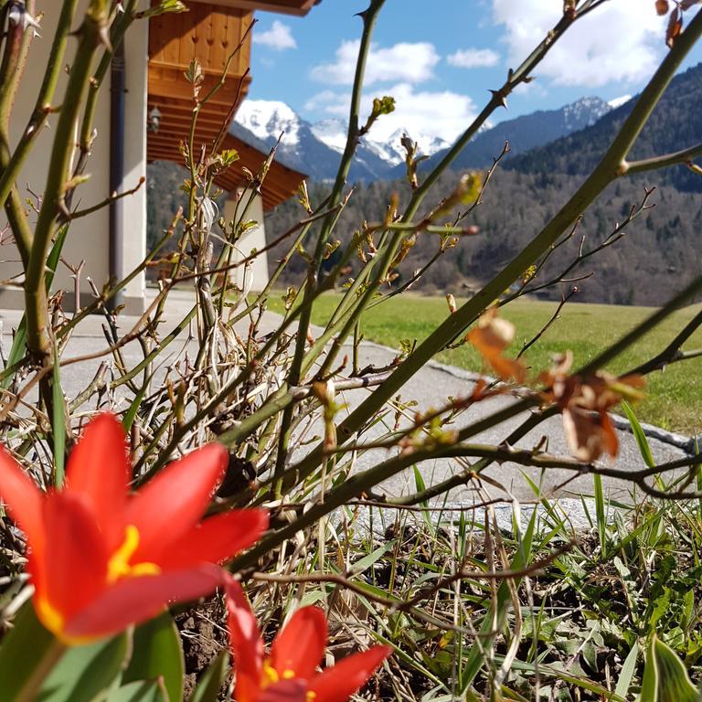 Agritur Cornasest Breguzzo Exterior foto